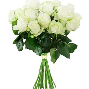 10 weiße Rosen "White Avalanche"