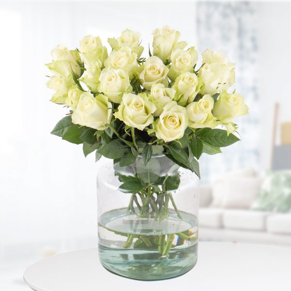 20 Weiße Rosen (40cm)